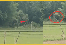 ayodhya-haathi-attack-bhikhi-ka-purwa