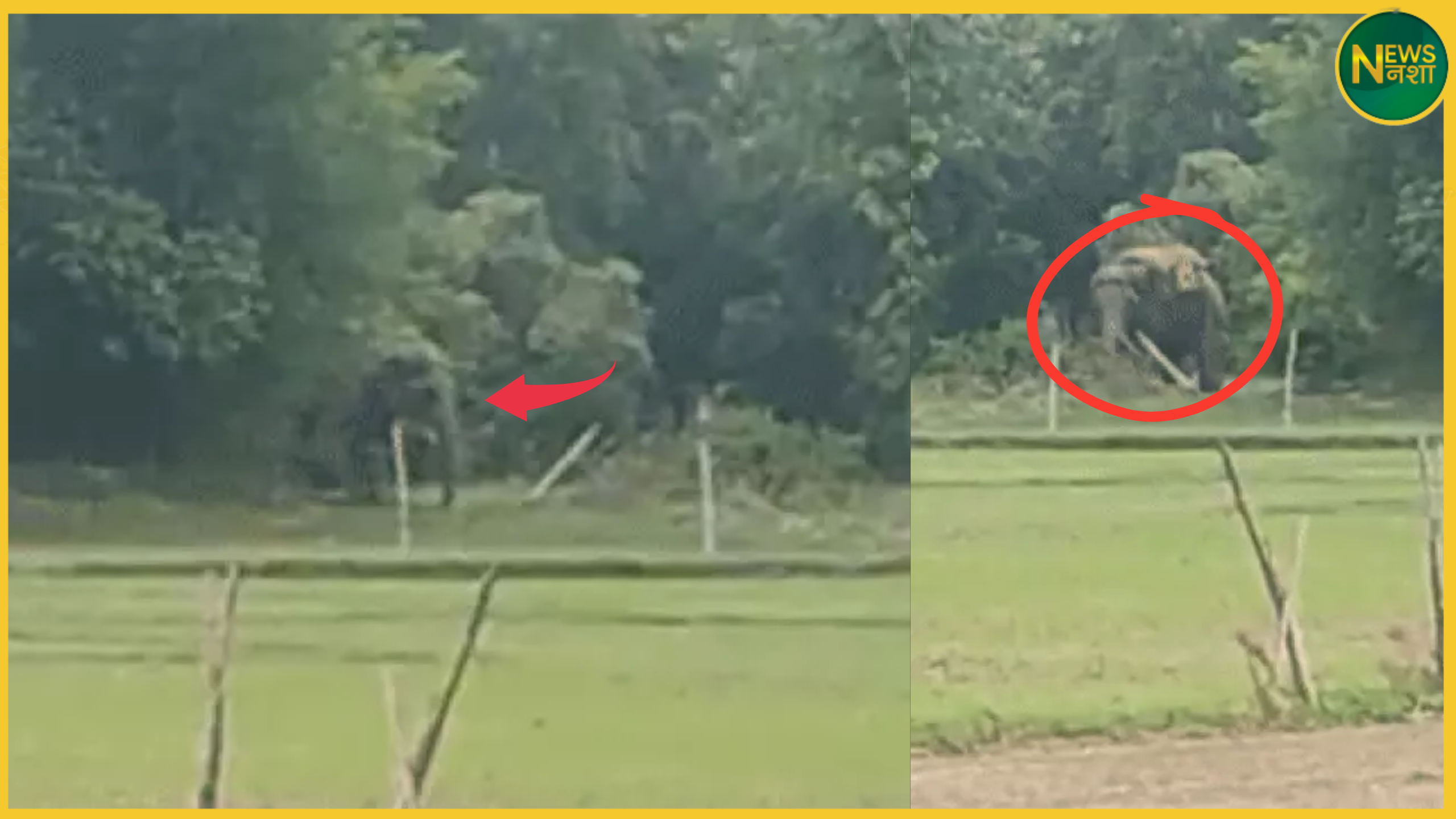 ayodhya-haathi-attack-bhikhi-ka-purwa