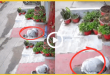 lucknow-doodh-thook-cctv-mohammad-sharif-case