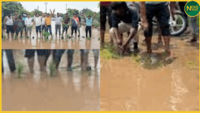 greater-noida-dankaur-road-dhan-protest-against-corruption