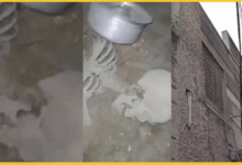 hyderabad-cricket-ball-search-human-skeleton-discovery
