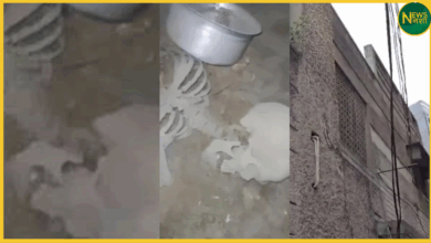 hyderabad-cricket-ball-search-human-skeleton-discovery