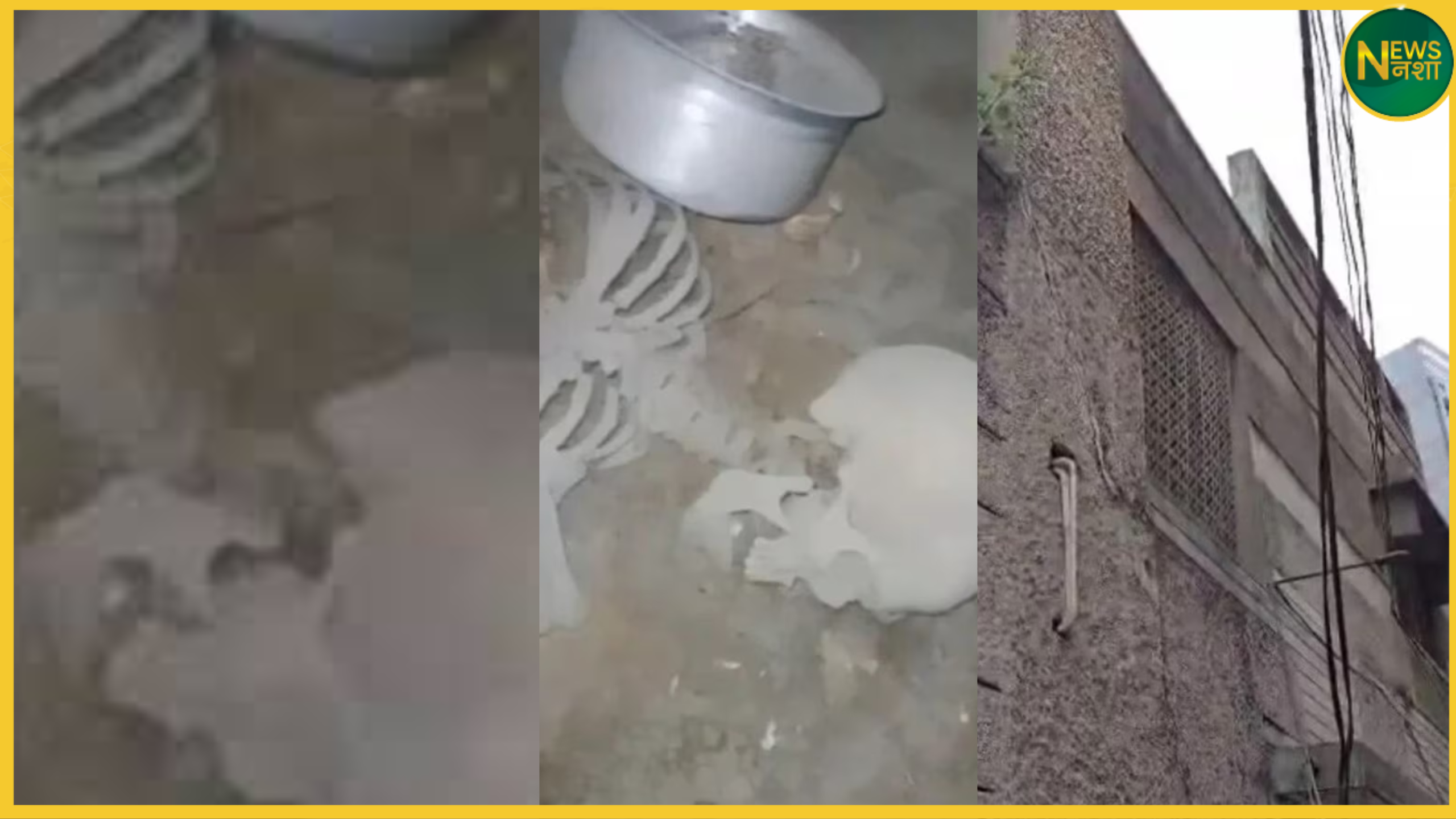 hyderabad-cricket-ball-search-human-skeleton-discovery