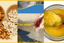 /shahdol-jal-chaupal-dryfruit-bill-controversy