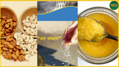 /shahdol-jal-chaupal-dryfruit-bill-controversy