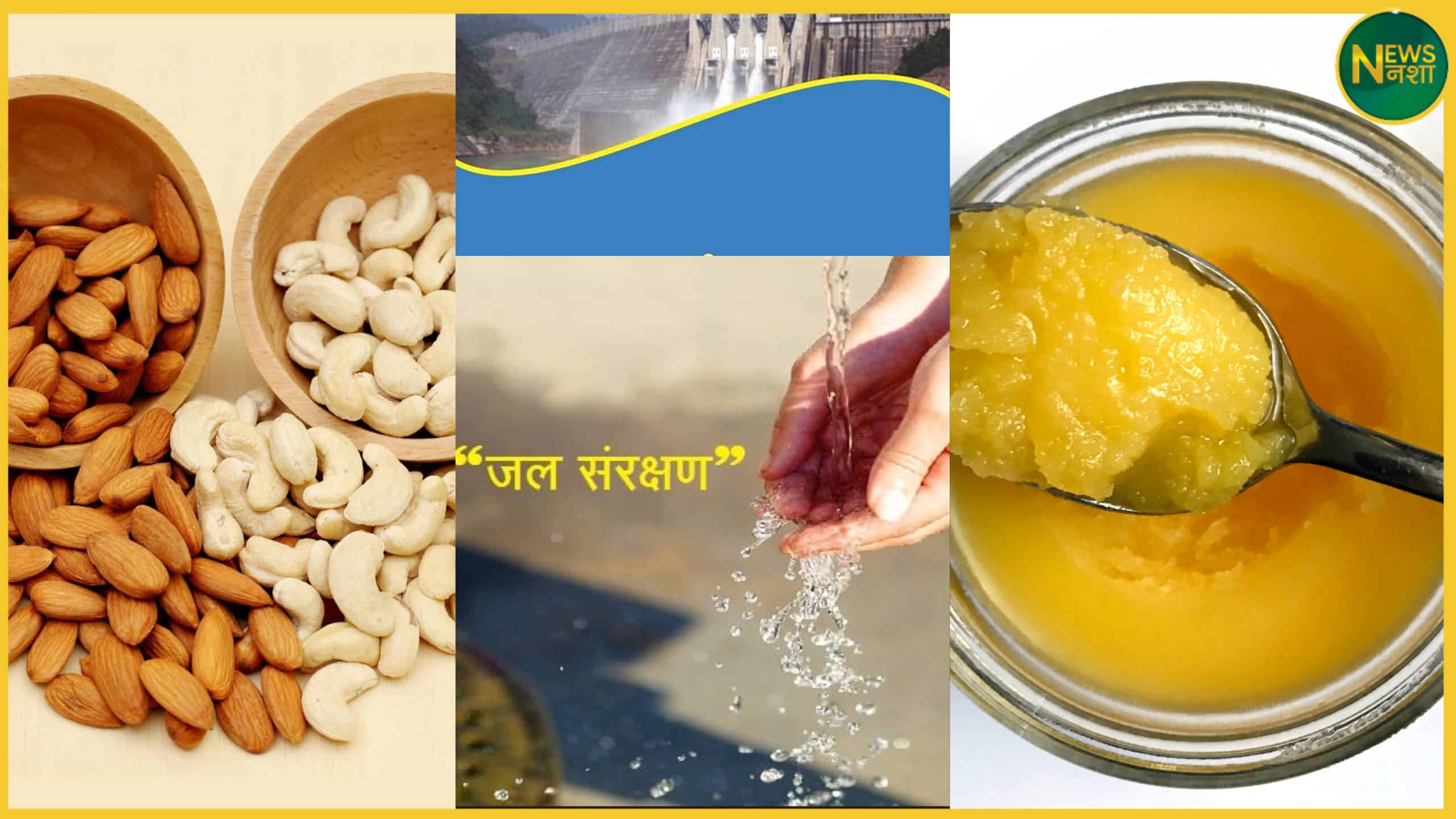 /shahdol-jal-chaupal-dryfruit-bill-controversy