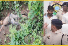 chhattisgarh-jaipal-sidhar-murder-by-contract-killer-rigged-by-jailed-accused
