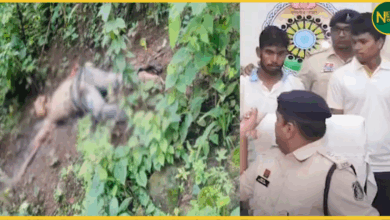 chhattisgarh-jaipal-sidhar-murder-by-contract-killer-rigged-by-jailed-accused