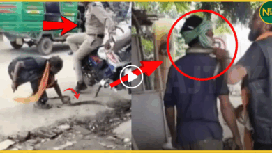 kanpur-sapera-snake-attack-video-viral-woman-constable-panic