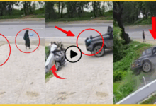 bihar-rohtas-thar-accident-cctv-video-woman-death-three-injured