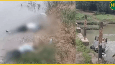 chhattisgarh-car-accident-bjp-leader-death-gariyaband-nala
