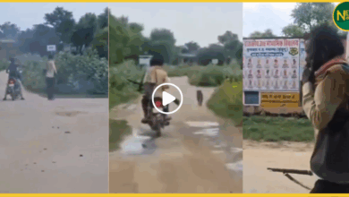 jhunjhunu-dog-shooting-animal-cruelty-case