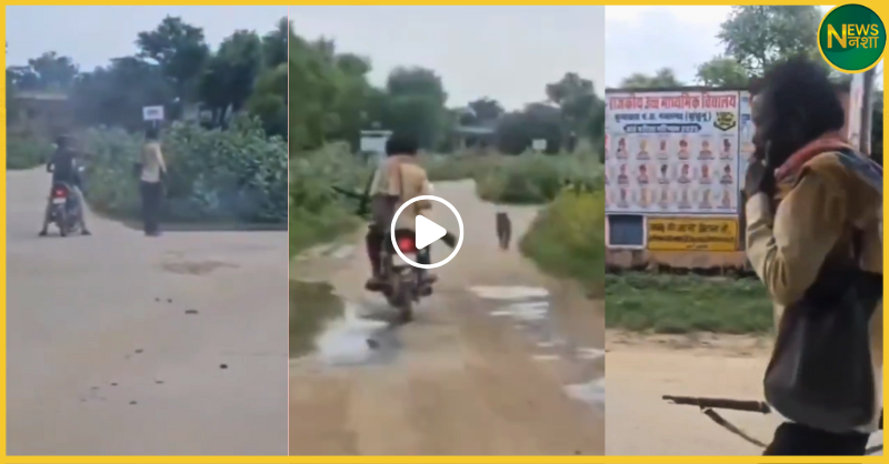 jhunjhunu-dog-shooting-animal-cruelty-case