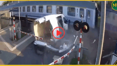 viral-video-van-hit-by-train-at-railway-crossing