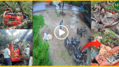 barabanki-roadways-bus-accident-tree-fall-5-dead-4-women-officers-included