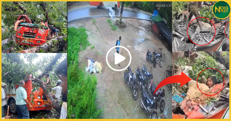 barabanki-roadways-bus-accident-tree-fall-5-dead-4-women-officers-included