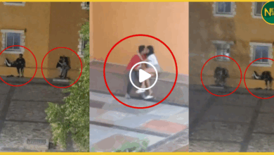 viral-video-manipur-university-campus-obscene-behavior-concerns