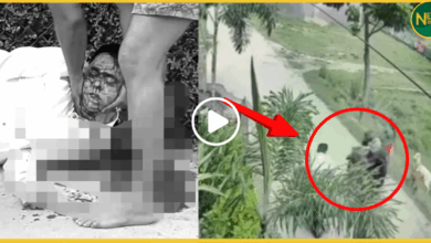 varanasi-property-dealer-murder-cctv-footage-viral/