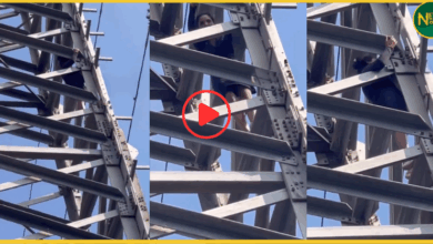 jharkhand-woman-climbs-high-tension-pole-boyfriend-refusal-drama