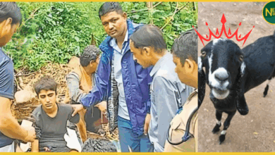 uttarakhand-bageshwar-pausari-village-goat-saves-14-year-old-boy-in-debris