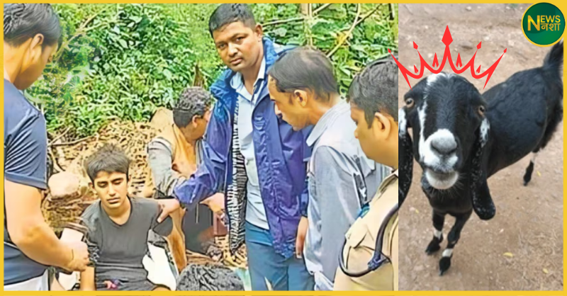 uttarakhand-bageshwar-pausari-village-goat-saves-14-year-old-boy-in-debris