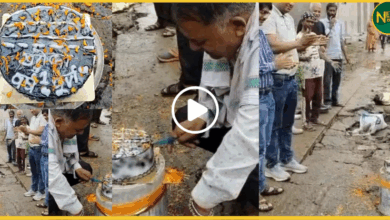 udaipur-pothole-birthday-protest-smart-city-neglect