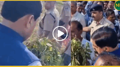 cm-mohan-yadav-farm-inspection-ratlam-farmers-compensation
