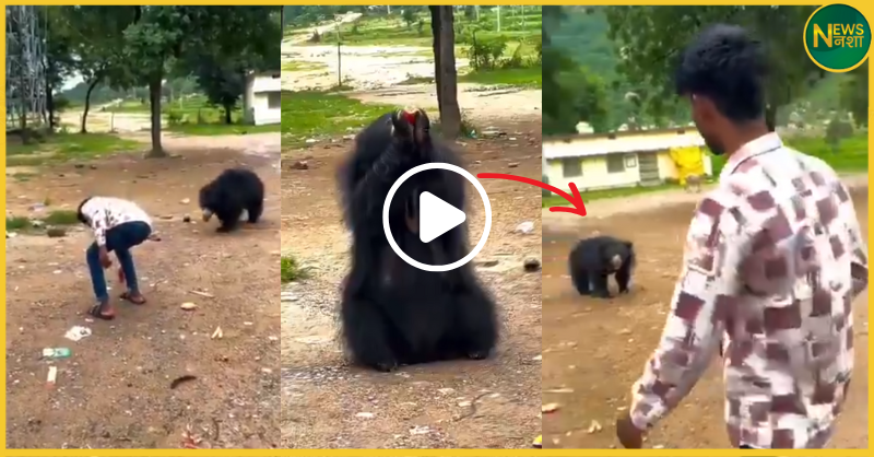 viral-video-youth-feeds-cold-drink-to-wild-bear-chhattisgarh