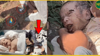 bhilwara-inhuman-incident-newborn-found-with-stone-in-mouth