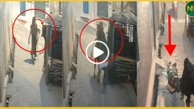 up-jhansi-woman-injured-by-stray-bull-viral-video