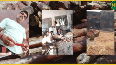 kannauj-fake-sandalwood-dainik-bhaskar-investigation