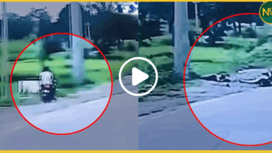 korba-bike-accident-toll-barrier-crash-viral-video
