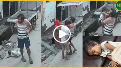 hathras-toddler-fell-from-roof-after-monkey-attack-viral-video
