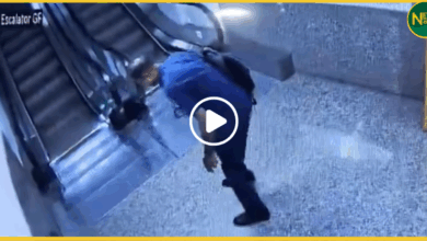 delhi-asi-dies-of-heart-attack-in-tis-hazari-court-cctv-video-viral