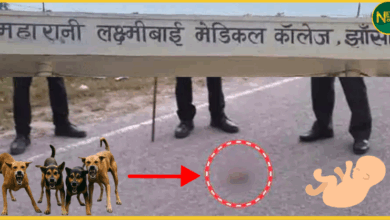 jhansi-newborn-killed-by-stray-dogs-mlb-medical-college-incident