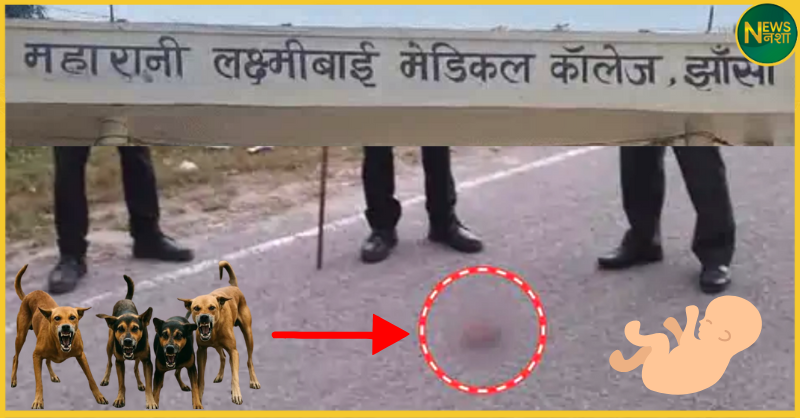 jhansi-newborn-killed-by-stray-dogs-mlb-medical-college-incident