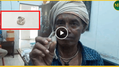 panna-laborer-finds-4-carat-gem-quality-diamond