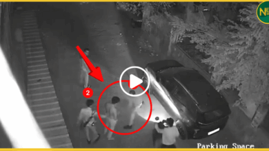 bhopal-engineering-student-udit-gaiki-police-beating-death-video-viral-investigation-suspended