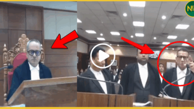 harkhand-high-court-advocate-scolded-judge-viral-video